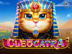 Gaminator casino slot makinesi40